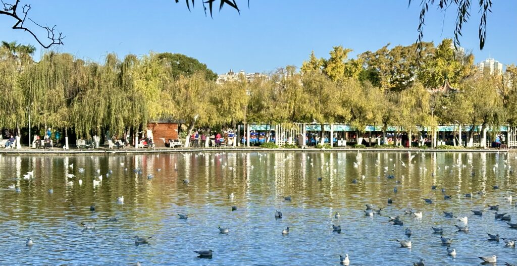 Kunming – Gateway to Yunnan