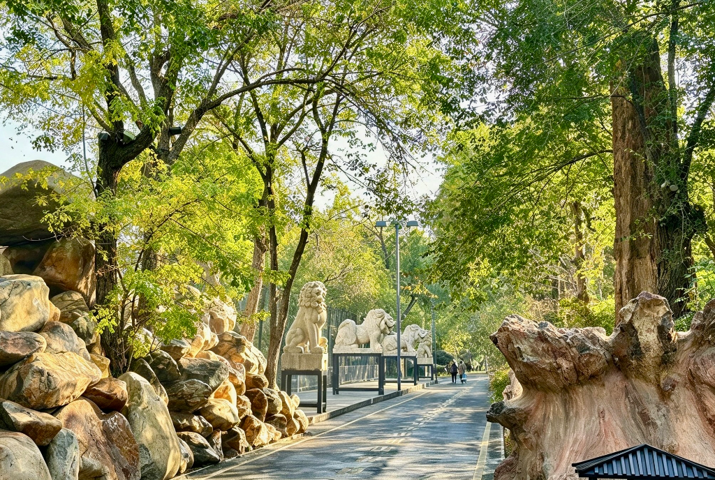 Xinjiang Ancient Ecological Park