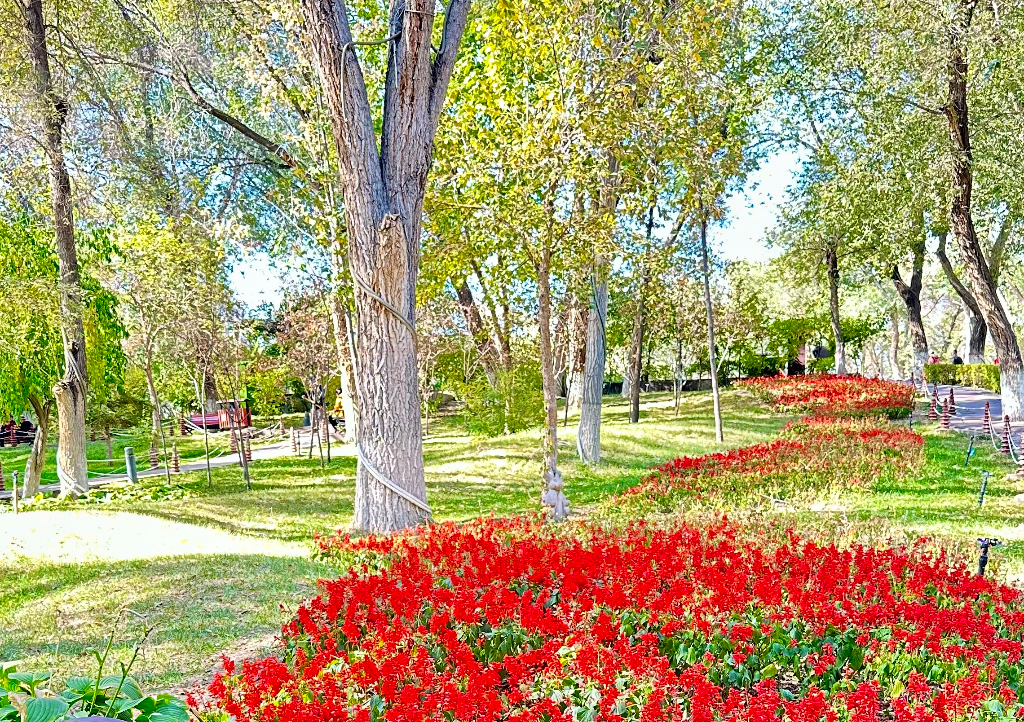 Hongshan Park