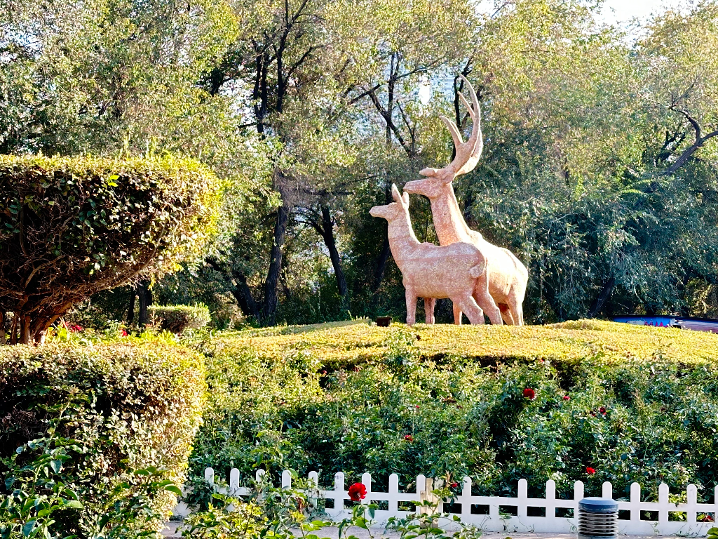 Hongshan Park